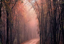 五星红旗闪耀都灵大冬会!为中国队加油人民日报客户端.