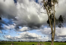 南宫28：[CBA]琼斯挑起大梁 吉林力克四川.