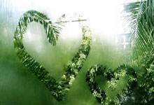 德甲:奥格斯堡平霍芬海姆 法兰克福险胜斯图加特.