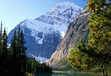 全运后山东女排大调整：杜清清退役，李晨瑄等上位，车文涵或外借.